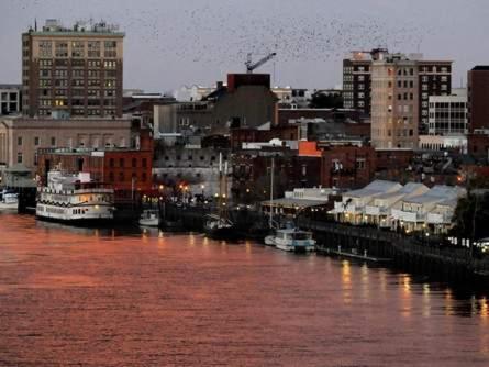 Water Street Retreat 12 Lägenhet Wilmington Exteriör bild